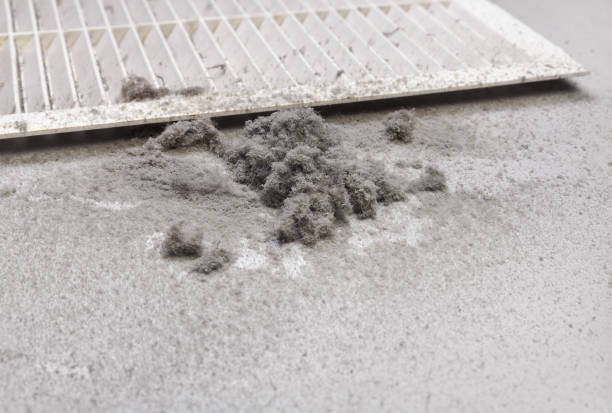 Best Ductwork Cleaning Services  in Breckenridge, MN