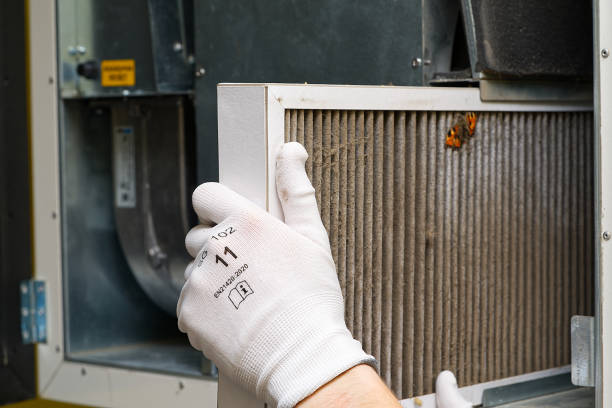 Best Dryer Vent Cleaning Services  in Breckenridge, MN