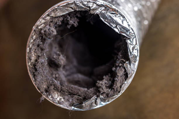 Best Local Air Duct Cleaning Services  in Breckenridge, MN